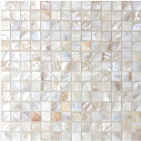 beige natural shell tiles EOE4902.jpg