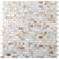 beige natural shell tiles ZOE4908.jpg